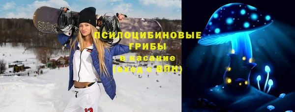 стафф Елизово