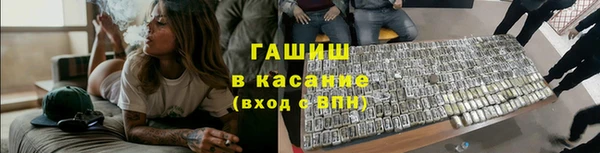 стафф Елизово