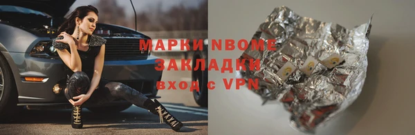стафф Елизово