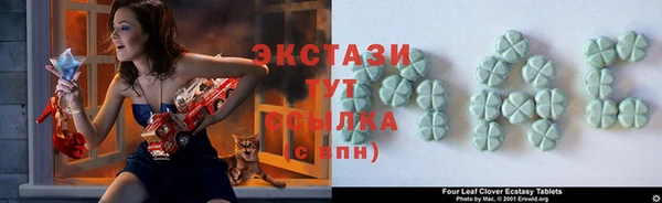 стафф Елизово