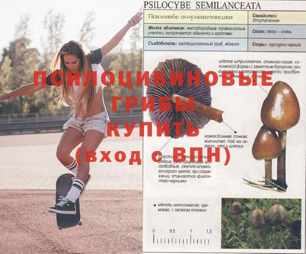 кокаин перу Ельня