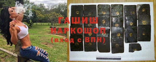 стафф Елизово