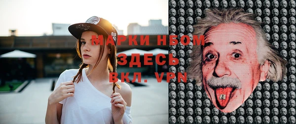 стафф Елизово