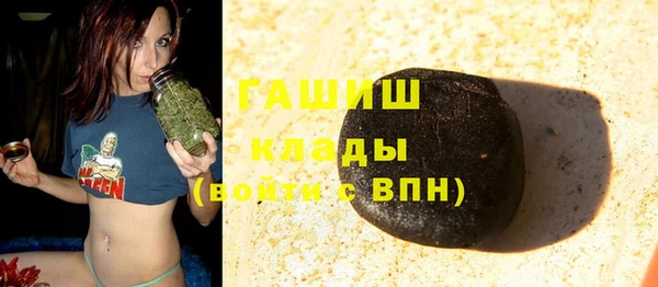 стафф Елизово