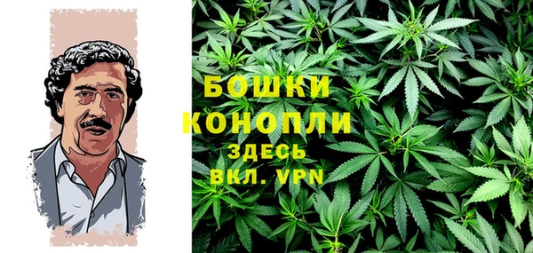 стафф Елизово